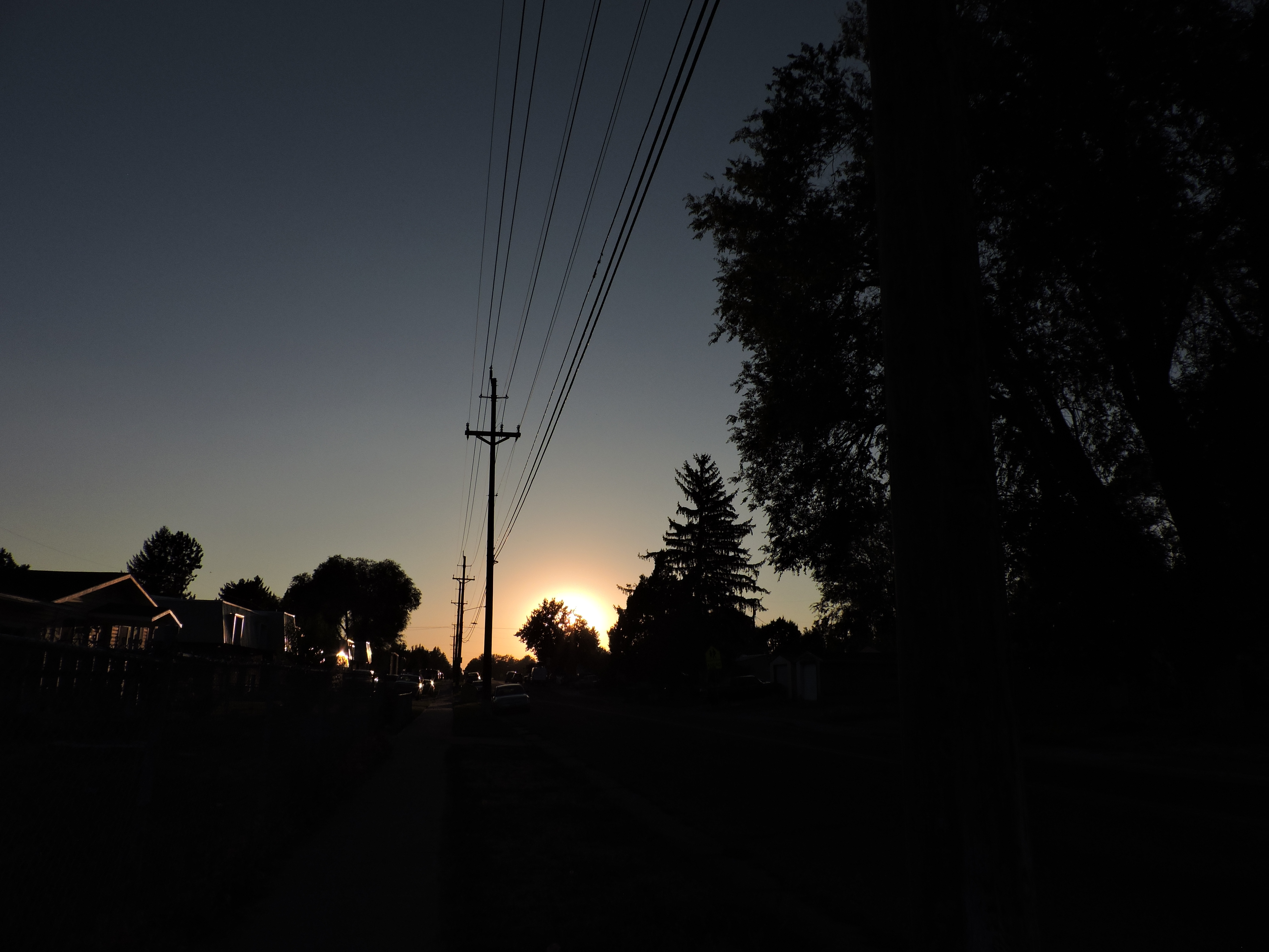 Silhouette of a neighborhood